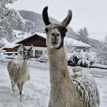 Gasthof Kirchmoar Sankt Blasen المظهر الخارجي الصورة